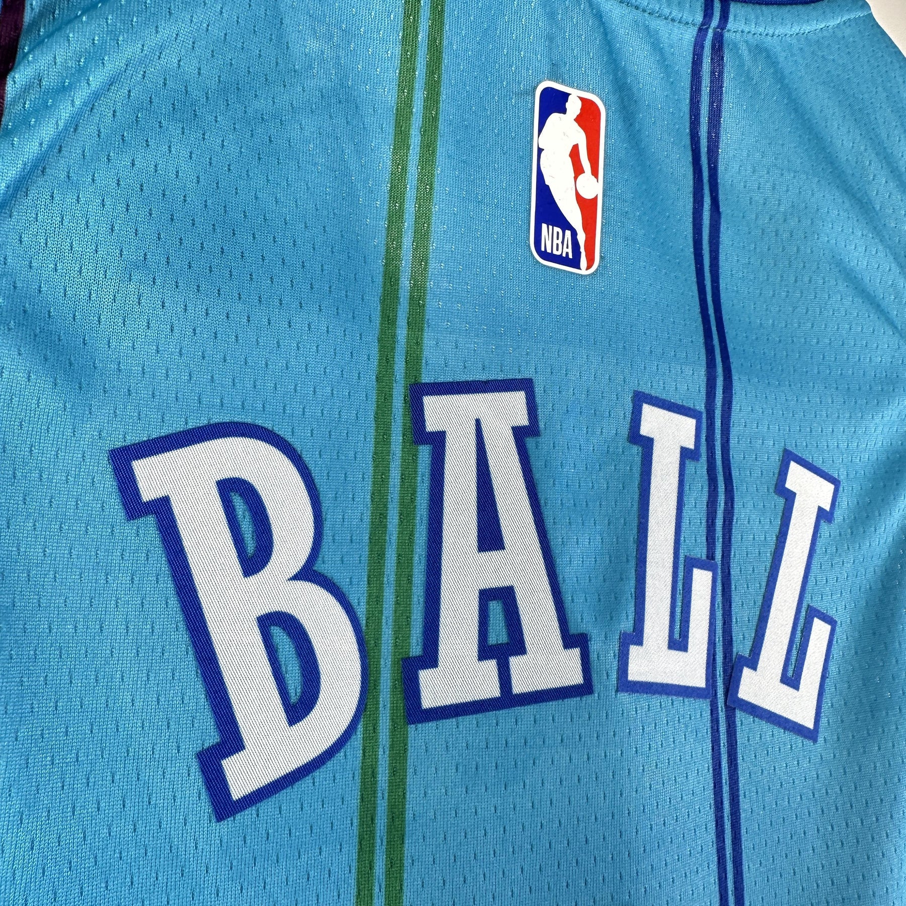 Charlotte Hornets Classic Edition 23/24 NBA Jersey