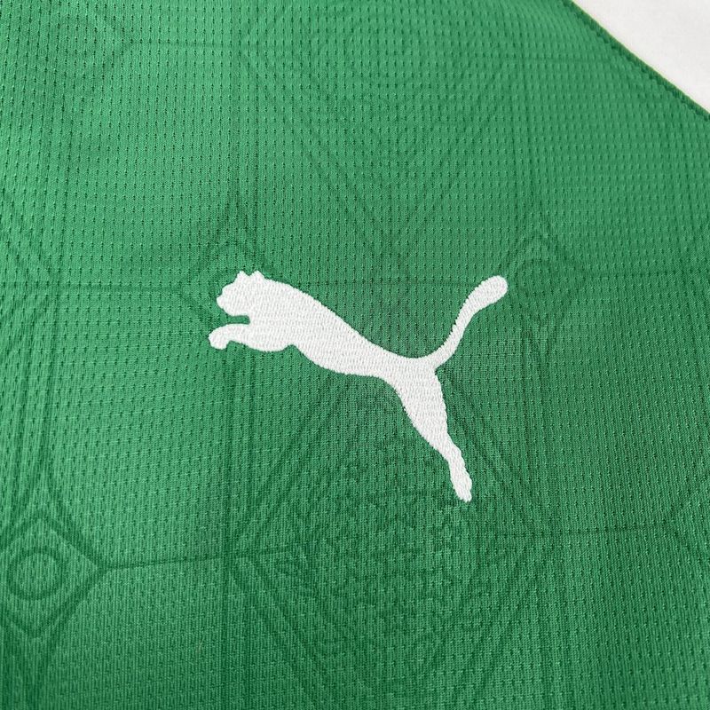 Palmeiras Home Jersey 25/26