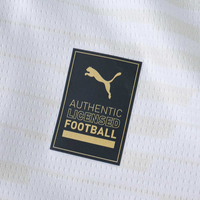 PSV Third Jersey 25/26