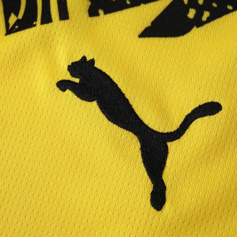 Borussia Dortmund Home Jersey 25/26