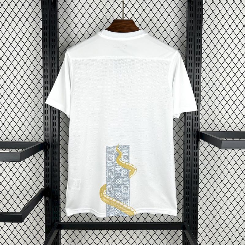 Tottenham Special Edition Jersey 25/26
