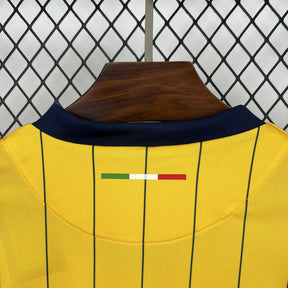 Hellas Verona Fourth Jersey 24/25
