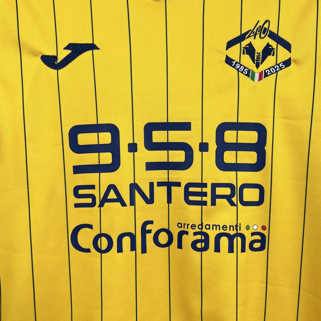 Hellas Verona Fourth Jersey 24/25